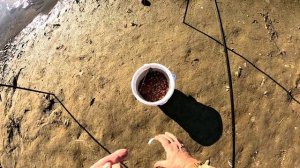 Кубань рыбалка в районе речного порта.