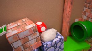 Хомячок в лабиринте Супер-марио.