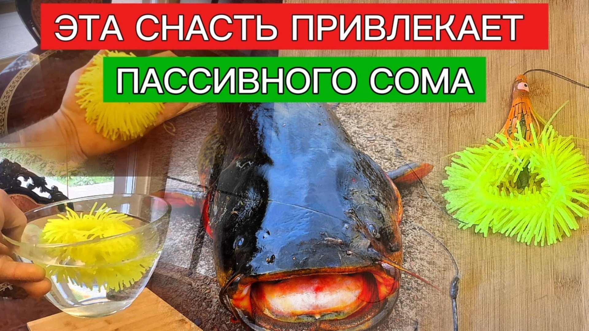 СНАСТЬ на СОМА. Рабочая и ОЧЕНЬ ЭФФЕКТИВНАЯ. СНАСТЬ на пассивного сома. смотреть онлайн