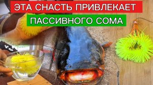 СНАСТЬ на СОМА. Рабочая и ОЧЕНЬ ЭФФЕКТИВНАЯ. СНАСТЬ на пассивного сома.