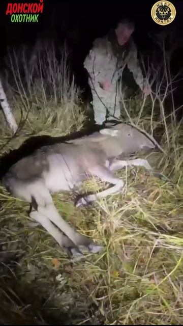 Охота на Лося - пьяный Лось смотреть онлайн