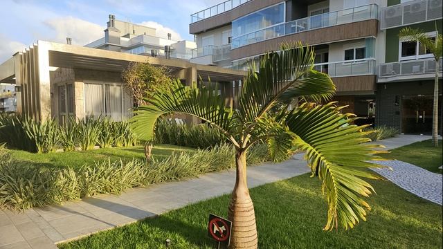 БРАЗИЛИЯ 2025  2