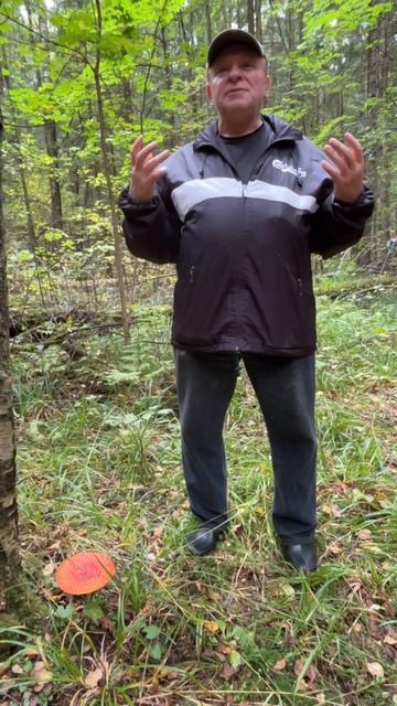 Мир удивляет смотреть онлайн