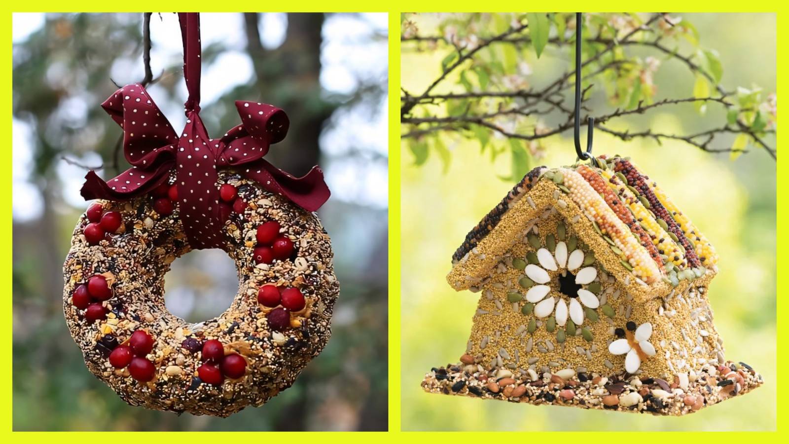 Съедобная кормушка для птиц своими руками: мастерим с детьми и радуем пернатых! ❄️🐦🏡 смотреть онлайн