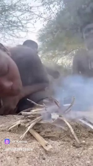 Кулинария диких племён 🔥Поддержи подпиской✅