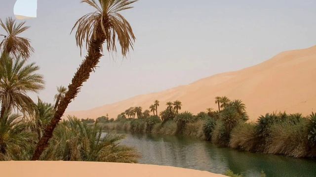 И пески, и оазисы