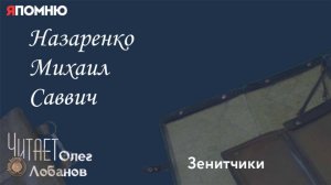 Назаренко Михаил Саввич.  Проект "Я помню" Артема Драбкина. Зенитчики.