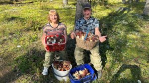 В лесу много Боровиков, Моховиков и разных грибов. Выборг. Ира, Димон и Я. Лес Супер.