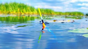 ДУМАЛ РЫБАЛКА А ТУТ ПРОМЫСЕЛ!!!  Осенняя рыбалка на поплавок.