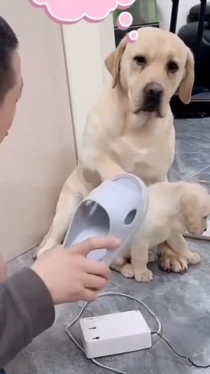 Ты своих детей иди ругай, а моего не трогай