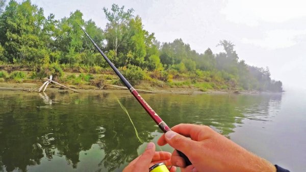 Рыбалка на спиннинг! Осенний ЖОР ЩУКИ И СУДАКА! Бандерлоги ищут Новые места