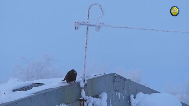 Зимний Красноселькуп смотреть онлайн