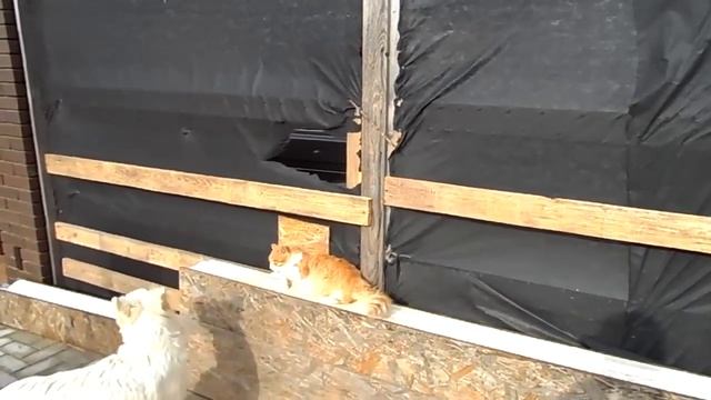 Подготовка к зиме! Делаем ворота. (2020 г.)