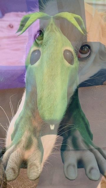 Трик Трак Барабум это МЕМ в Brainrot Evolution Роблокс ! смотреть онлайн