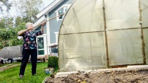 "Жизнь на пенсии".. Мои будни - привела в порядок теплицу.