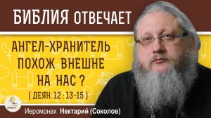 НАШ АНГЕЛ-ХРАНИТЕЛЬ ВНЕШНЕ ПОХОЖ НА НАС ?  Иеромонах Нектарий (Соколов)