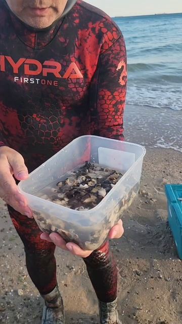 Как готовить рапану.