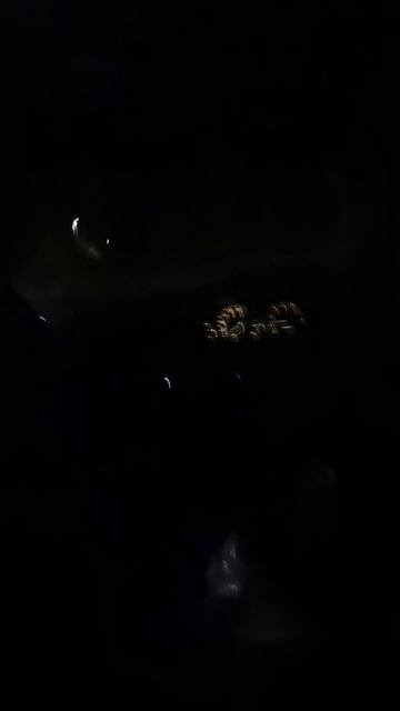 #пушкагонка #покатушки