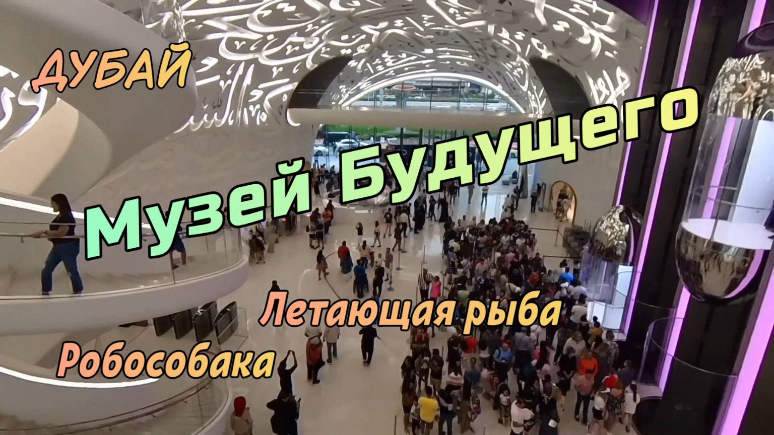 Музей Будущего в Дубае: робособака, летающая рыба и невероятный атриум внутри! смотреть онлайн