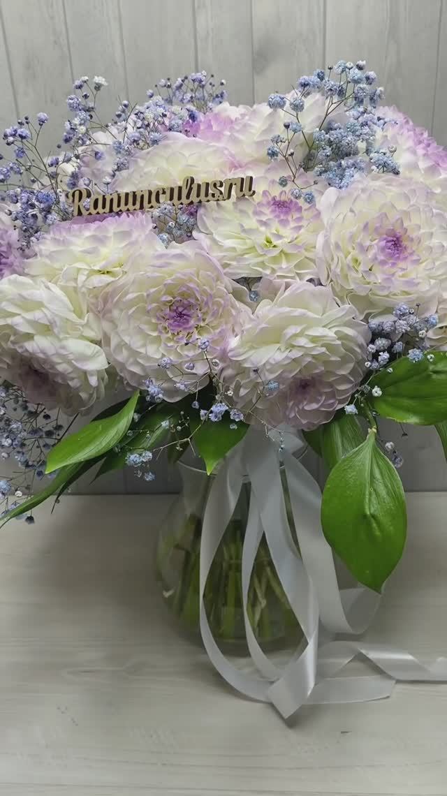 Букет из белых георгин и гипсофилы смотреть онлайн