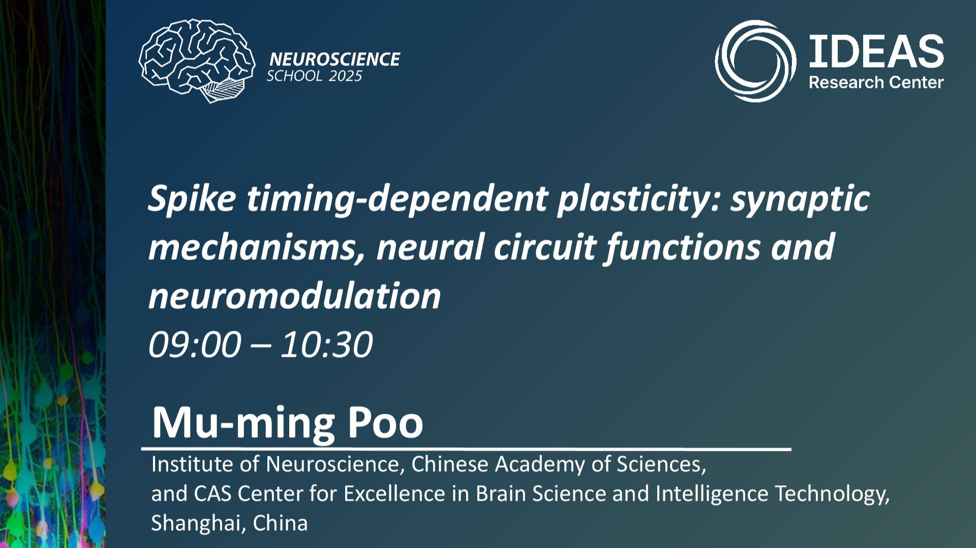 Spike timing-dependent plasticity: synaptic mechanisms, neural circuit functions and neuromodulation