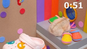 Хомячок в лабиринте - Фабрика