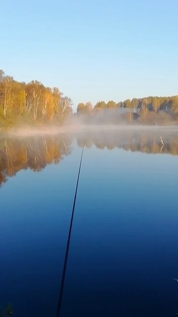 Туман, туманище над миром стелиться!!!