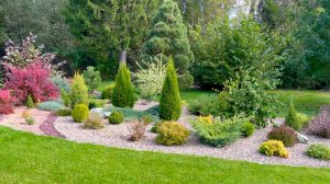 Рокарий в середине сентября. Хвойные и лиственные кустарники.