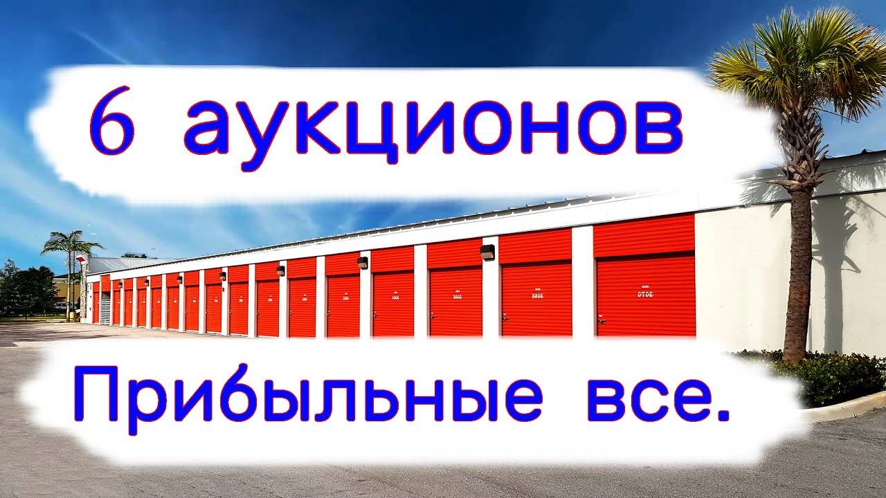 6 аукционов. Все прибыльные.
