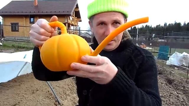 Нам град и ветер нипочём, сеем, садим, колим, ржём. (апрель 2020 г.)