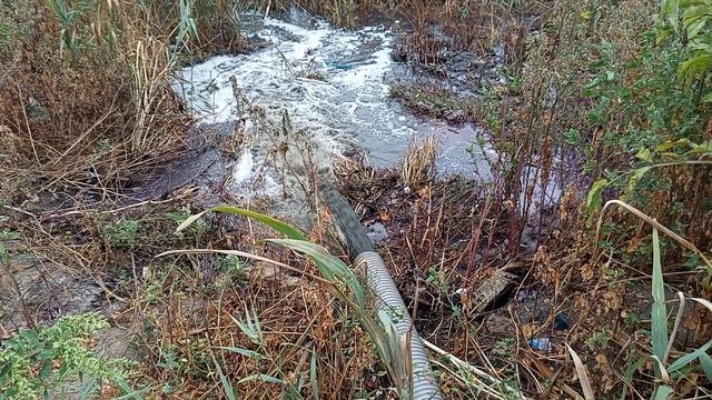 Слив на выдуве смотреть онлайн
