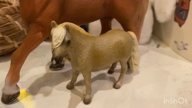 Обзор на лошадей от Collecta🤩🤩🤩🤩🤩🤩🤩🤩🤩🤩🤩🤩🤩🤩