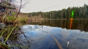 РАЗДАЧА КАРАСЯ НА ПОПЛАВОК