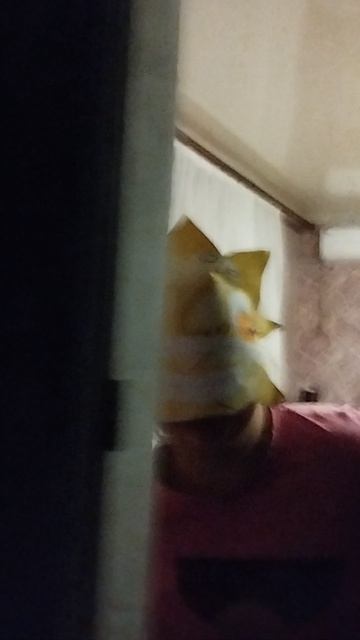аниматроник солнце часть 3 смотреть онлайн