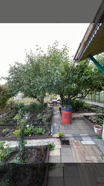 снт Ленина-5 смотреть онлайн