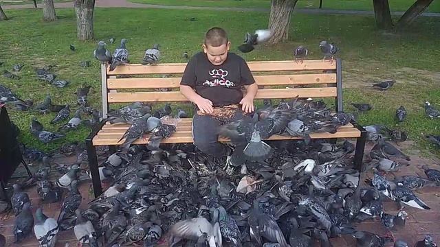 Ярик кормит голубей на Москвы фонтане 🥰🥰🥰 ролик 2025 г. смотреть онлайн