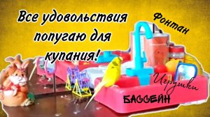 КЛАССНЫЙ ФОНТАН - БАССЕЙН ДЛЯ ПОПУГАЕВ, БУДУТ ЛИ КУПАТЬСЯ? #фонтандляпопугая
