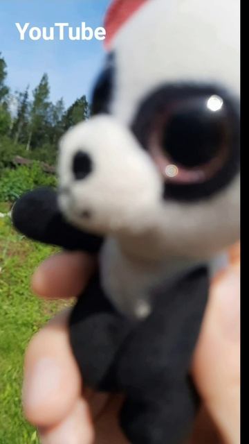 1000010827.mp4 смотреть онлайн