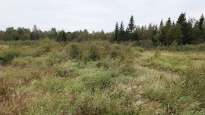 Мшинское сельское поселение, АОЗТ Красный Маяк