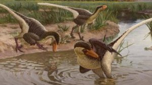 Стайная жизнь велоцирапторов