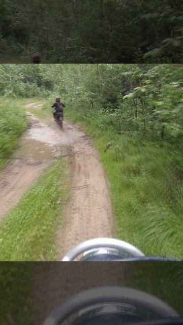 Yamaha TTR250 на оффроаде №221в смотреть онлайн