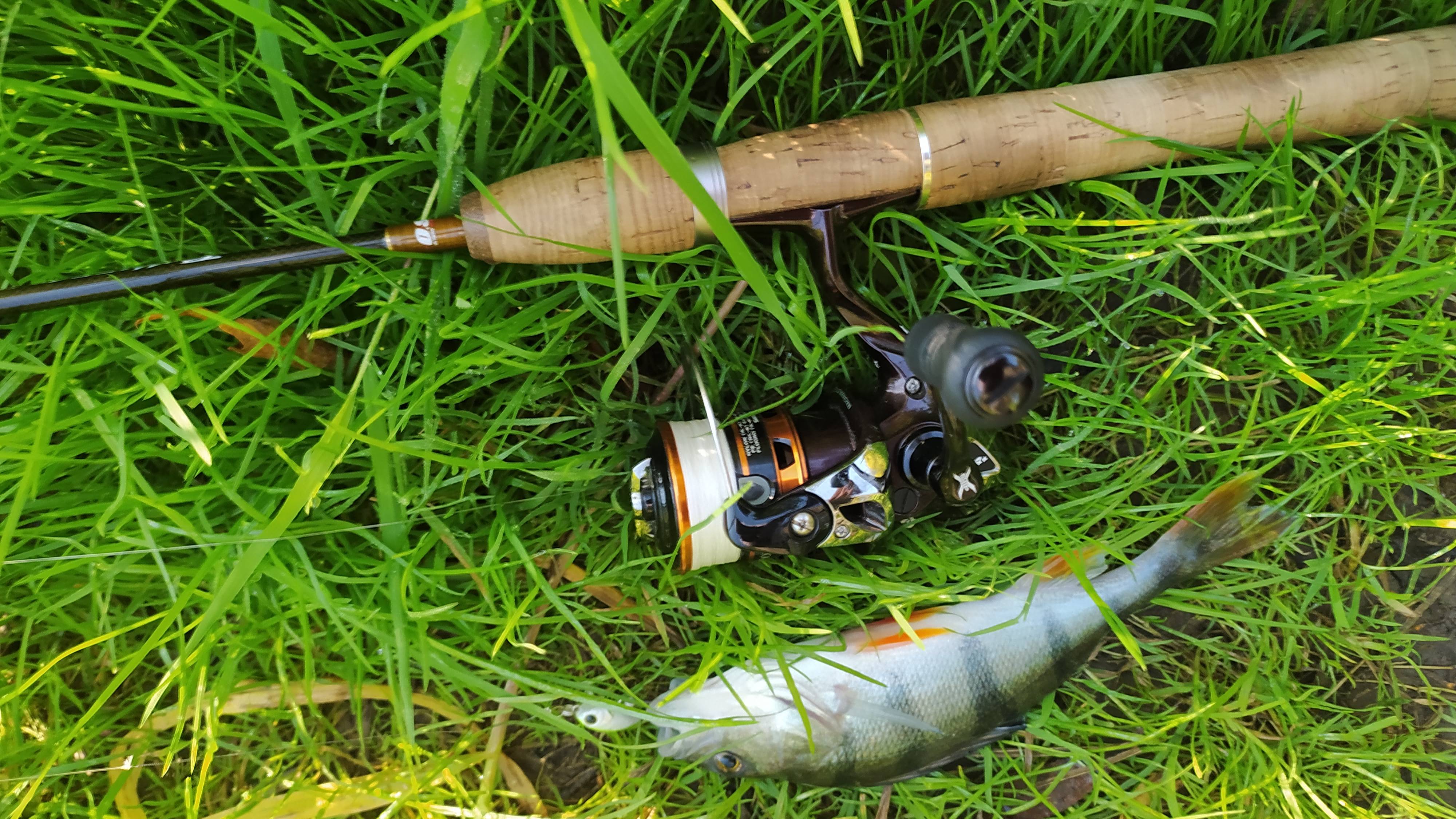 Десна. Микро-воблерки утром 31 августа 2025 года