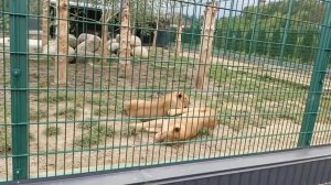 Нальчикский зоопарк.14.09.2025
