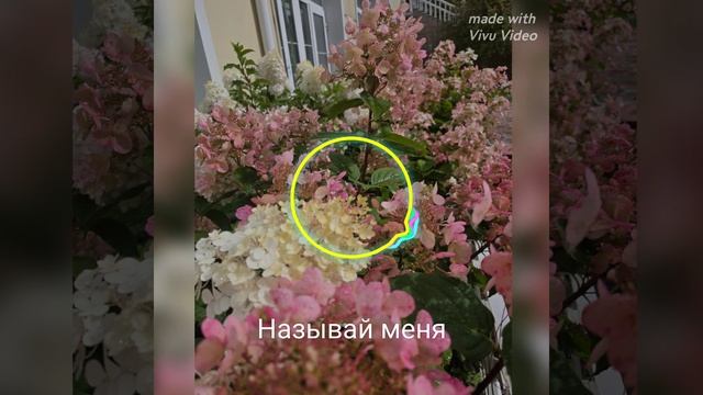 Называй меня #первая песня#новыепесни#песниИИ