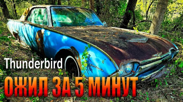 Этот Thunderbird простоял 40 лет в лесу. ЗАвелся с ПЕРВОГО РАЗА и звук мотора ШОКИРУЕТ