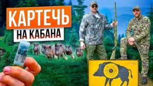 Картечь осыпь, дистанция, пробитие. Картечь или пуля? Как использовать картечь на охоте?