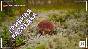 Грибная разведка 16 сентября 2025. Приозерский район.