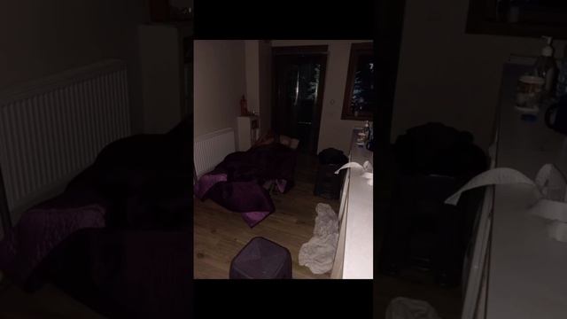 1000008984.mp4 смотреть онлайн