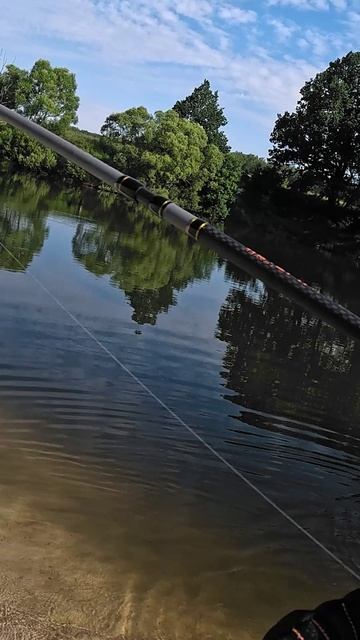 Такие окуньки уже за радость в наших краях!