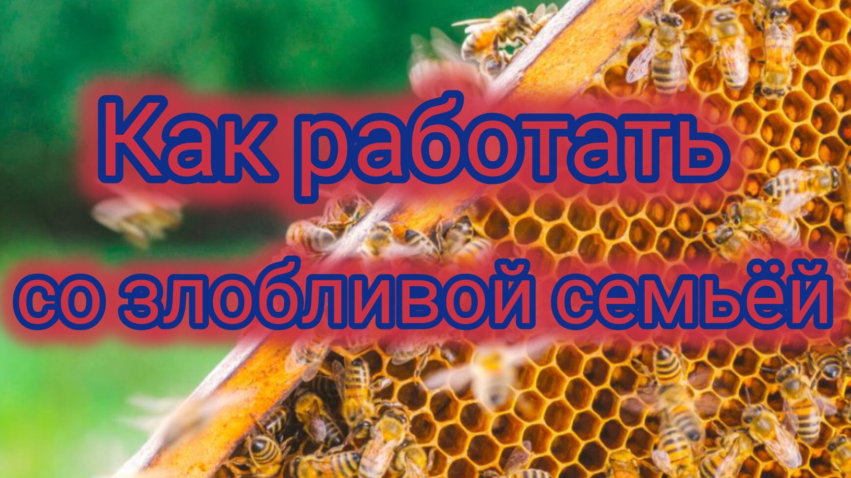 Как работать со злобливой семьёй смотреть онлайн